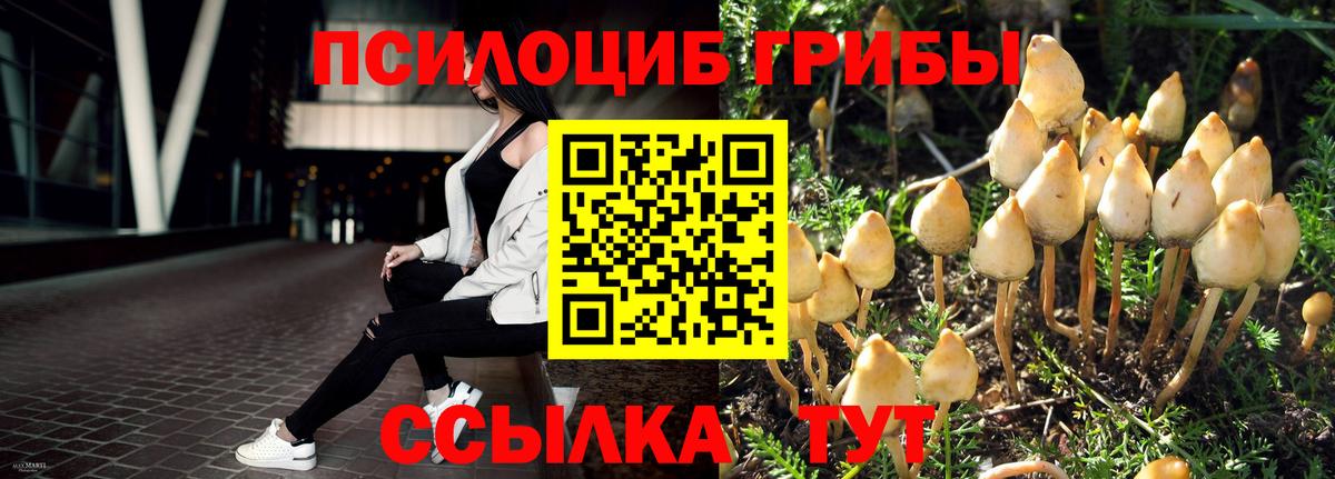 Нижний Новгород  закладка  Вход с VPN  Галлюциногенные грибы мицелий 