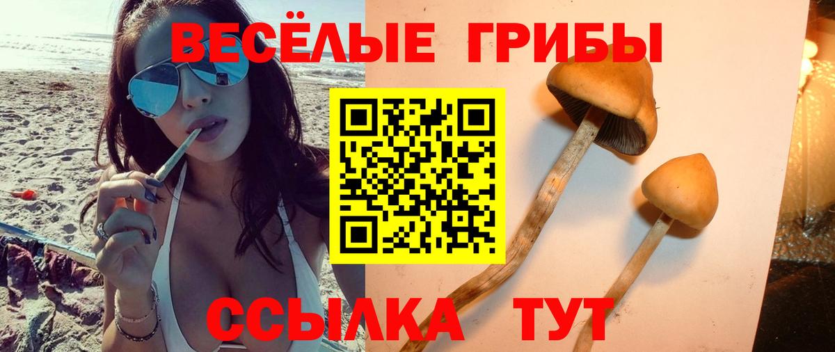 Галлюциногенные грибы Magic Shrooms Нижний Новгород